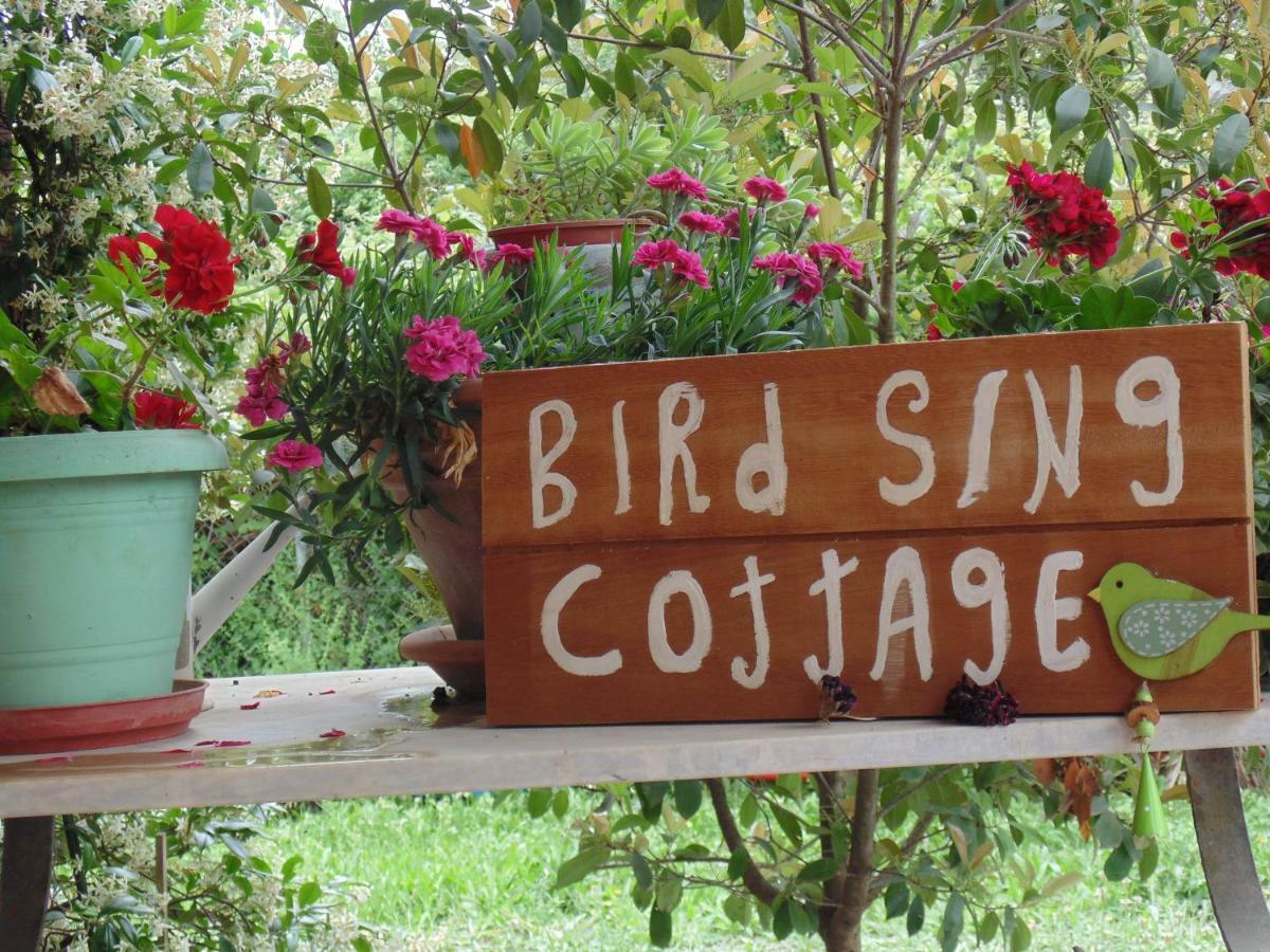 Birdsing Cottage Dassia  Exteriör bild